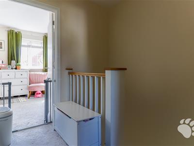 Picture 14